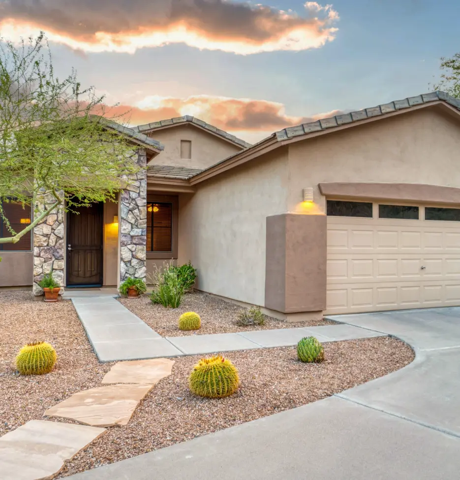  Senior Vice President